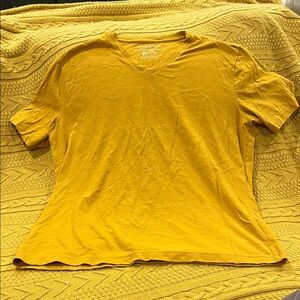 Banana Republic Golden V-Neck T-Shirt